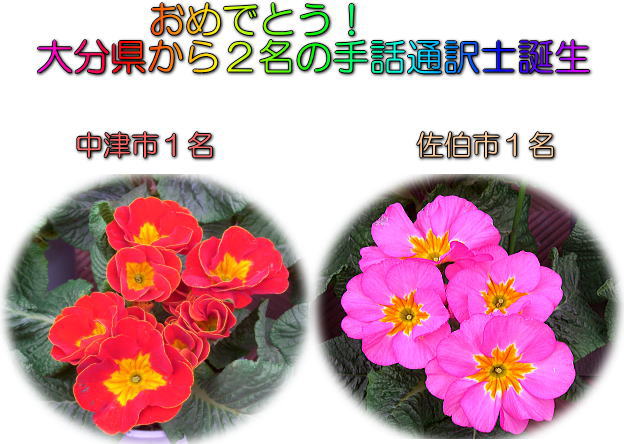d0070316_0591248.jpg