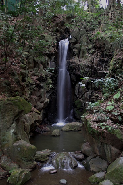 e0111217_063825.jpg