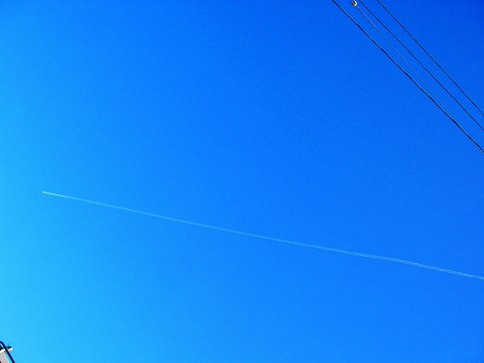 d0144618_22499.jpg