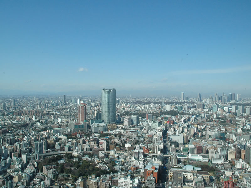 e0043819_0191938.jpg