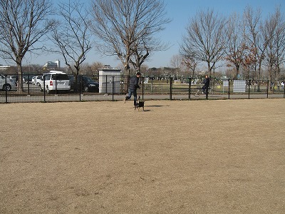 e0162524_085146.jpg