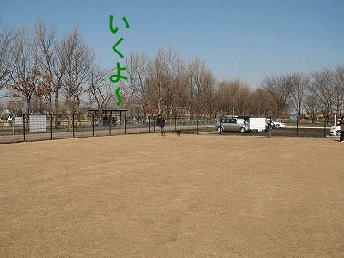 e0162524_091263.gif