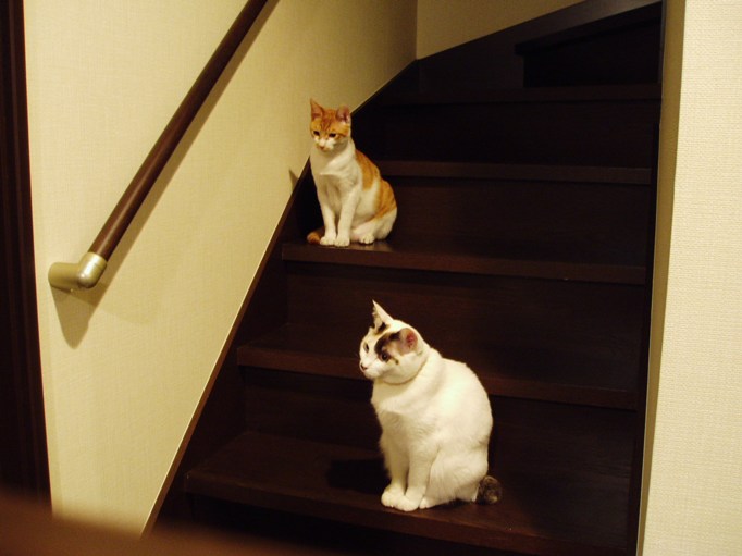 e0000126_1225066.jpg