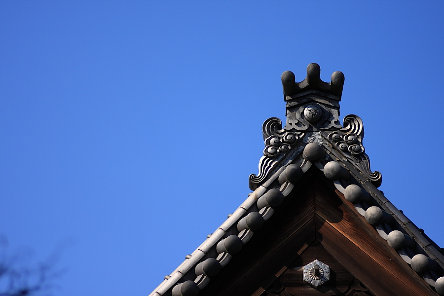 平林寺　その７（100mmマクロ編）_e0165326_23554341.jpg