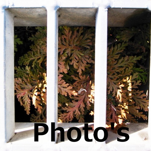 d0104128_9575117.jpg