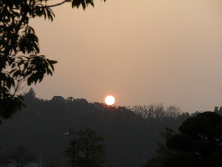 b0126538_112066.jpg