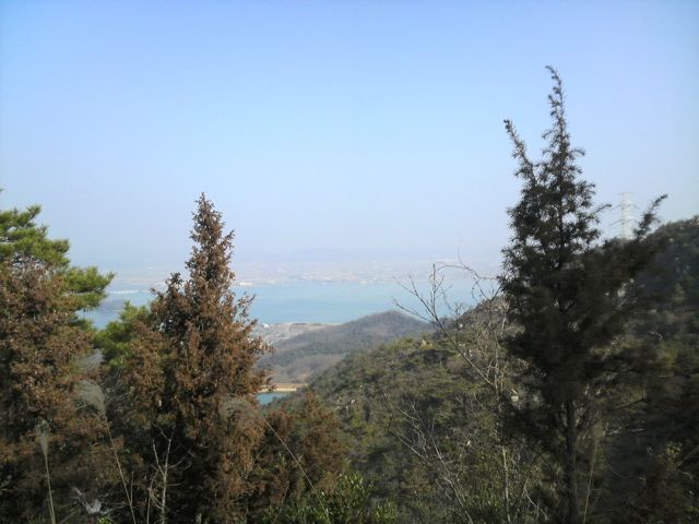 f0129543_9968.jpg