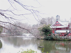 a0019747_485328.jpg