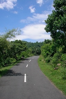 Ride On A Scooter お気に入り編 ～Kusambi→Seraya→Ujung～_a0074049_22371416.jpg