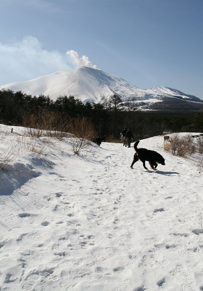 a0109450_2321430.jpg