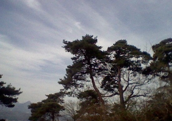 e0126350_23461184.jpg