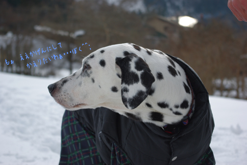 それでも、やっぱり雪が好き♪_b0141359_23104685.jpg