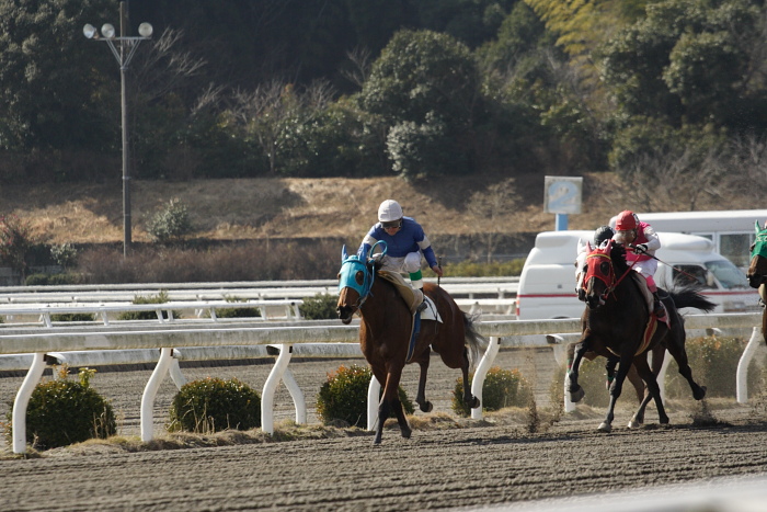 2009年2月7日（土） 高知競馬 1R_a0077663_1812556.jpg