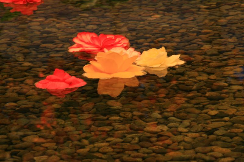 c0185066_21585280.jpg