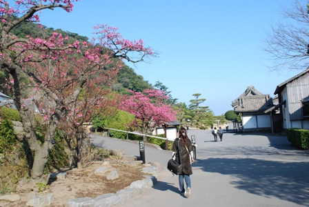 【鹿児島・市内】『磯庭園』でごわす＜観光編＞_f0189867_0122089.jpg