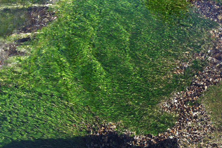 c0054876_18124627.jpg