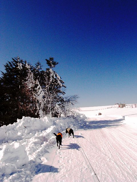 a0093592_0654.jpg