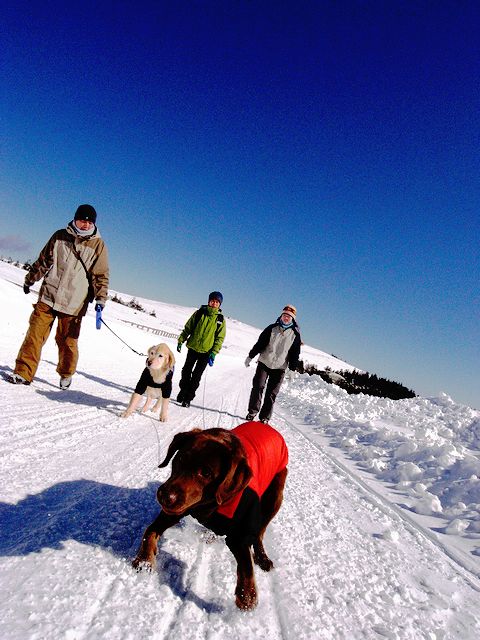 a0093592_08638.jpg