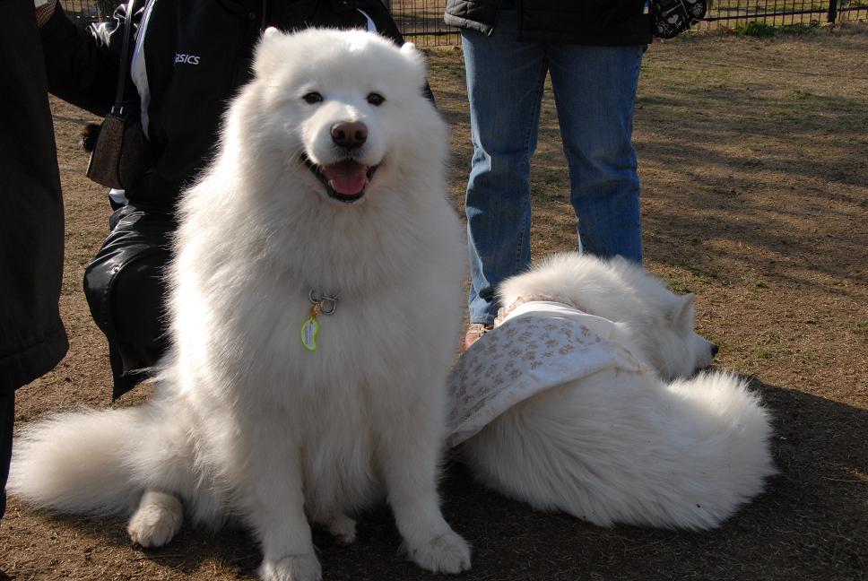 2009牡蠣オフのご報告_a0049296_201459.jpg