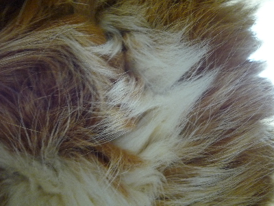 f0187700_13304087.jpg