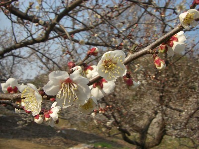 c0125501_13214850.jpg
