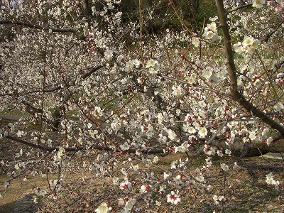 c0125501_13221518.jpg