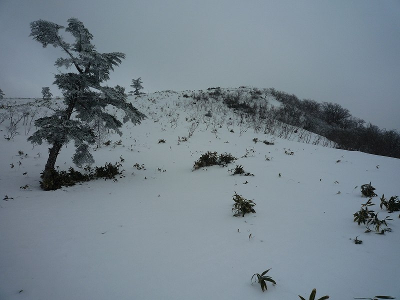 大永山トンネルからちち山へ_b0124306_11471934.jpg