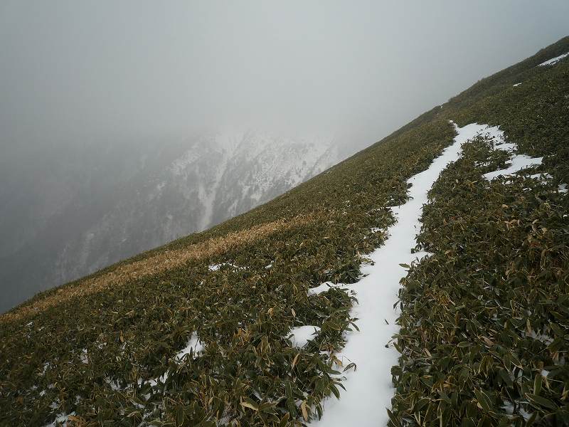 大永山トンネルからちち山へ_b0124306_12322426.jpg