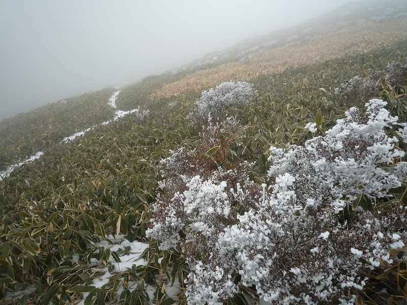 大永山トンネルからちち山へ_b0124306_1233334.jpg