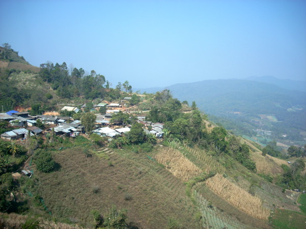 f0116707_1283592.jpg