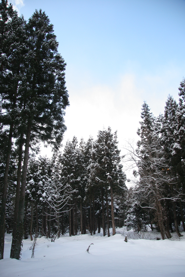 c0128108_0245331.jpg