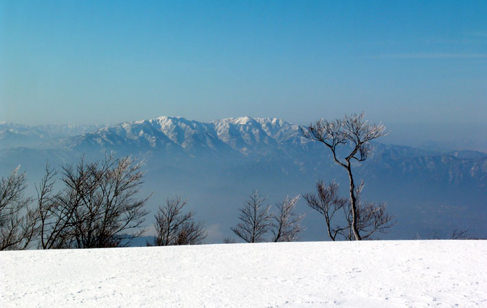 c0078410_16428.jpg