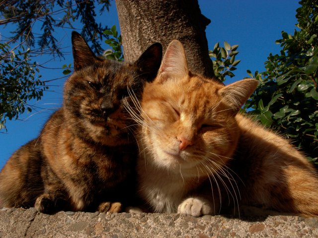 c0071611_23313762.jpg