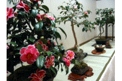 e0115811_2245591.gif