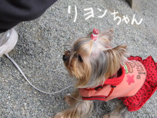 c0185516_0435381.jpg
