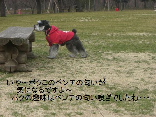 f0197317_18405459.jpg