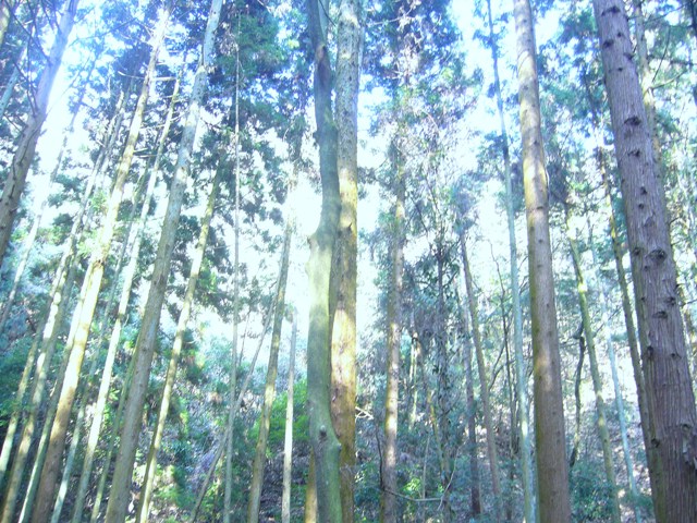 今日も行ってきました~!_c0144020_0361239.jpg
