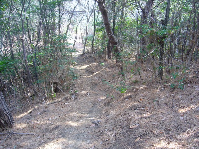 今日も行ってきました~!_c0144020_0531651.jpg