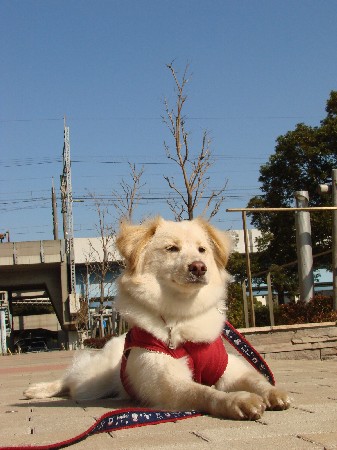 f0035927_13503665.jpg