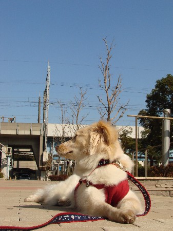 f0035927_1351246.jpg
