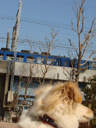 f0035927_13513534.jpg