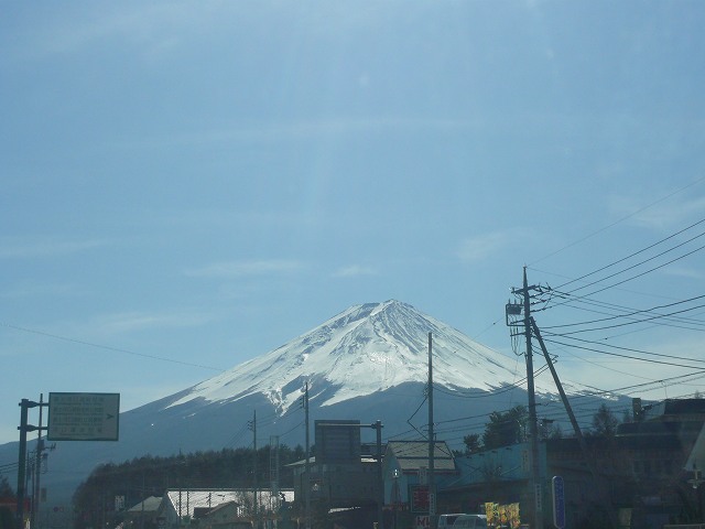 a0006033_2022741.jpg