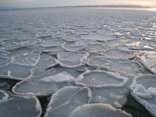 c0119649_21584767.jpg
