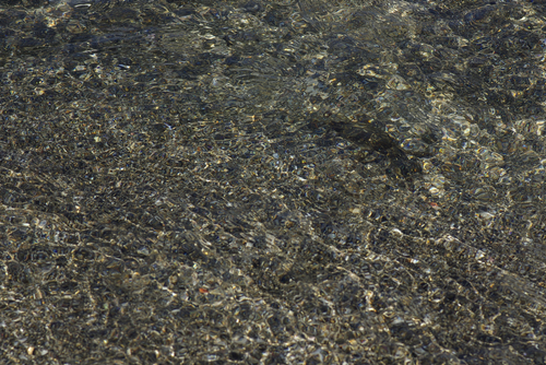 b0087456_110611.jpg