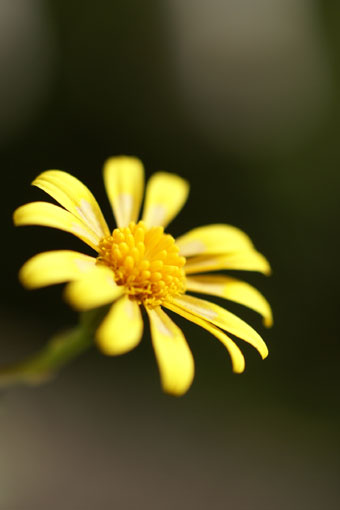 d0081357_0233964.jpg