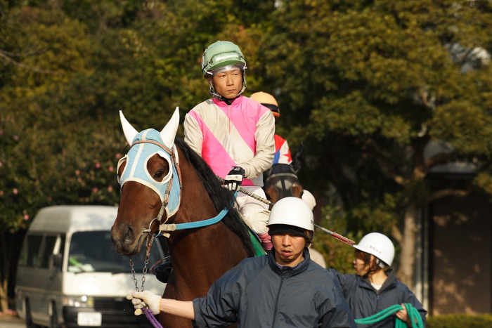 2009年2月8日（日） 高知競馬 9R 隊長・その他協賛 第2回しっとの炎特別_a0077663_1812121.jpg