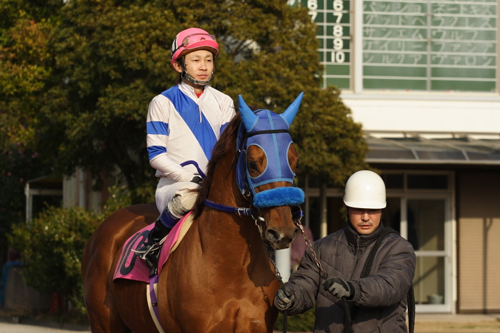 2009年2月8日（日） 高知競馬 9R 隊長・その他協賛 第2回しっとの炎特別_a0077663_18123028.jpg