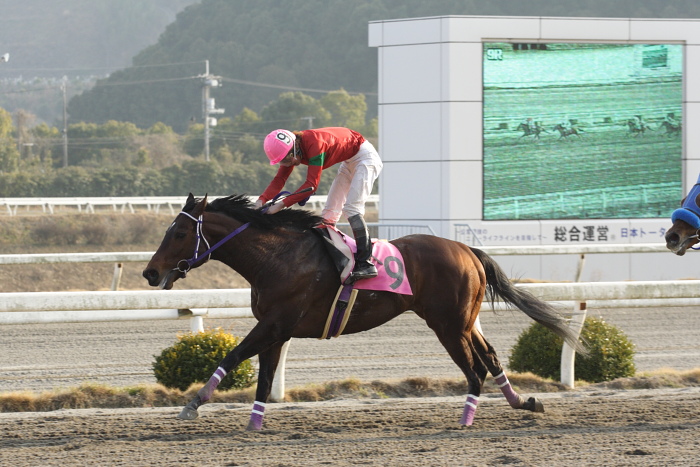 2009年2月8日（日） 高知競馬 9R 隊長・その他協賛 第2回しっとの炎特別_a0077663_1814187.jpg