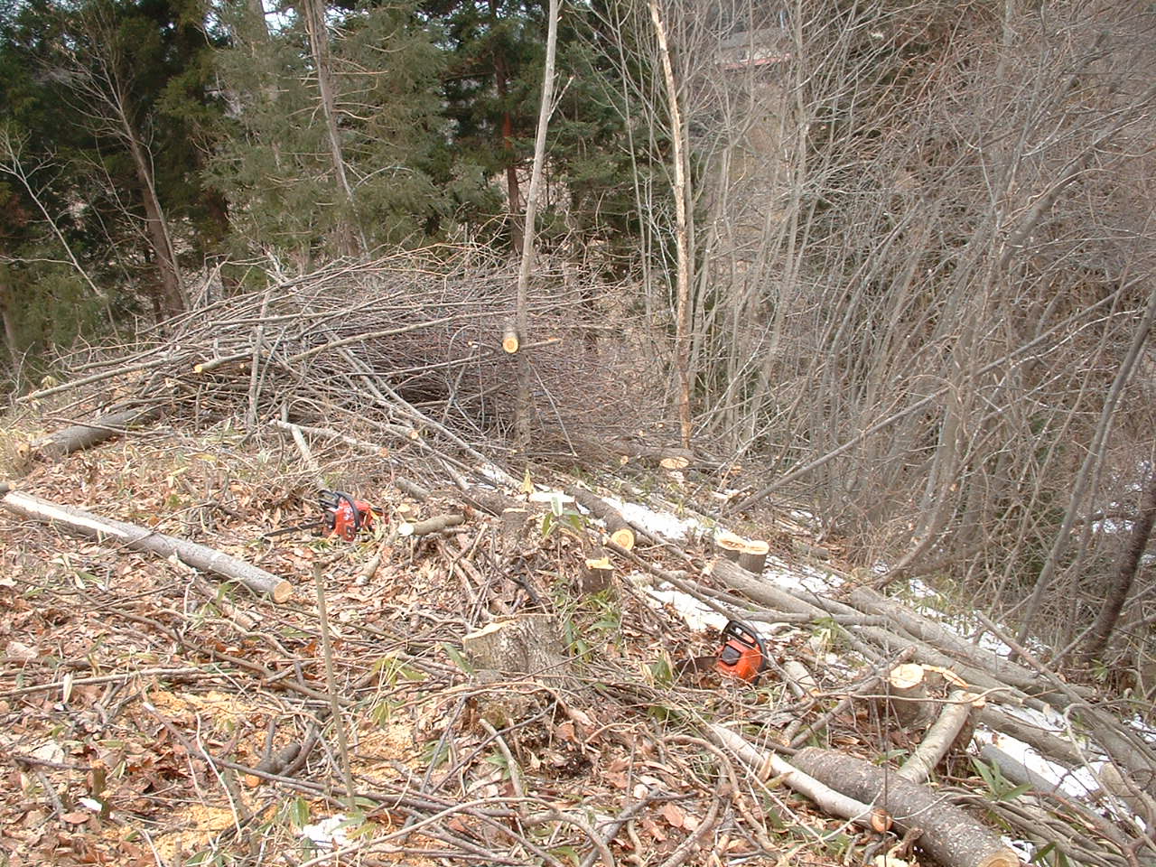 e0168764_2095243.jpg