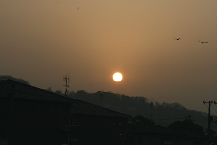 f0088569_9335236.jpg